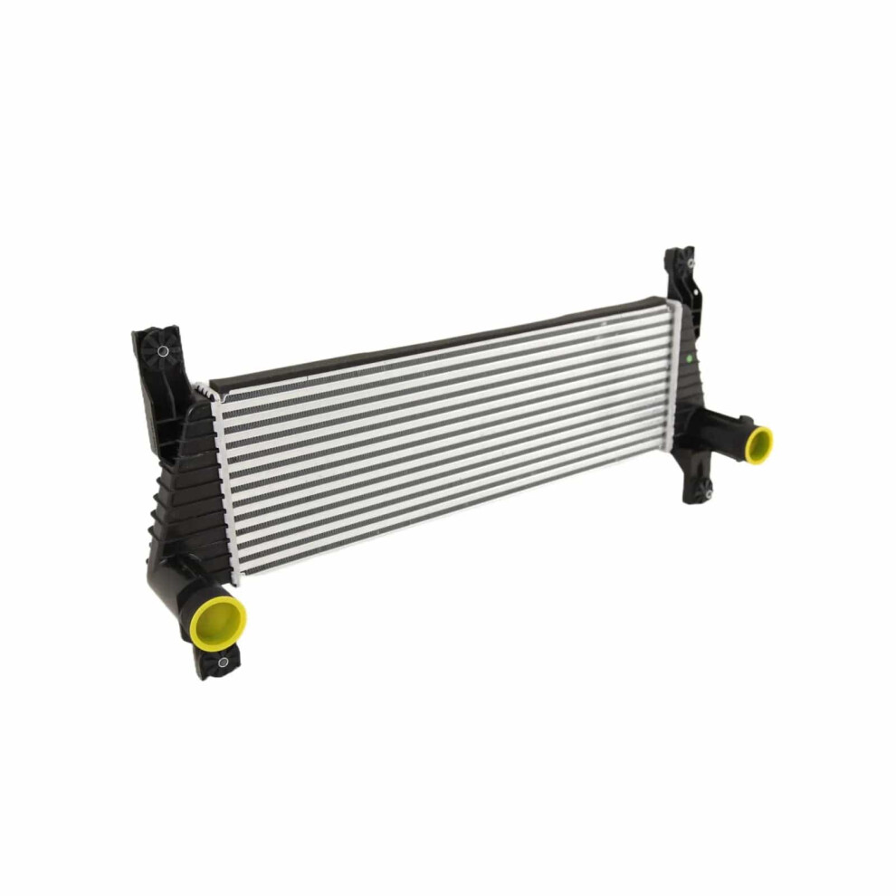 Intercooler Fits Ford Ranger 2.2 Tdci 3.2 Tdci 2011-2019 2092285 2036401 9145588447159