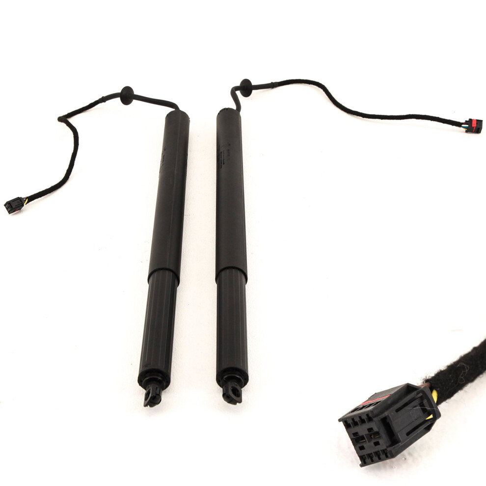 Electric Tailgate Struts X2 Lr075420 For Land Rover Discovery Sport L550 2015-19 9145588439710