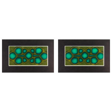 Pellicola di visualizzazione magnetica, visualizzatore di campo magnetico da 2 pollici x 4 pollici
