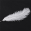 10 Pieces White Natural Ostrich 20-25cm Wedding DIY 4