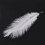 10 Pieces White Natural Ostrich 20-25cm Wedding DIY 5