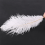 10 Pieces White Natural Ostrich 20-25cm Wedding DIY 6