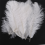 10 Pieces White Natural Ostrich 20-25cm Wedding DIY 2