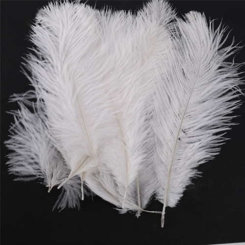 10 Pieces White Natural Ostrich 20-25cm Wedding DIY 1