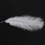 10 Pieces White Natural Ostrich 20-25cm Wedding DIY 3