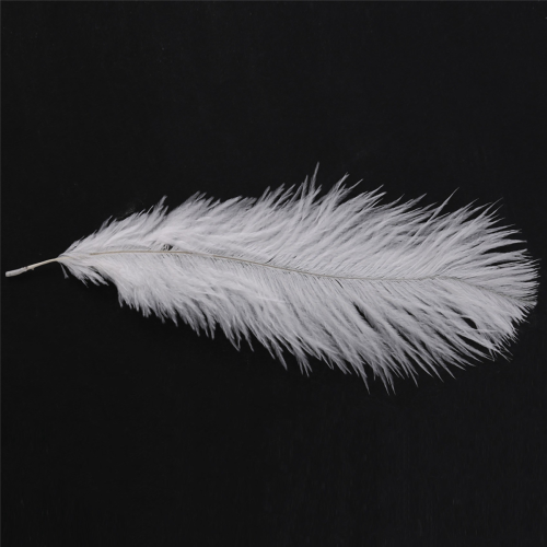 10 Pieces White Natural Ostrich 20-25cm Wedding DIY 2