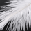 10 Pieces White Natural Ostrich 20-25cm Wedding DIY 7