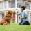 Repelente de perros de mano con luz LED Funciona con pilas 3