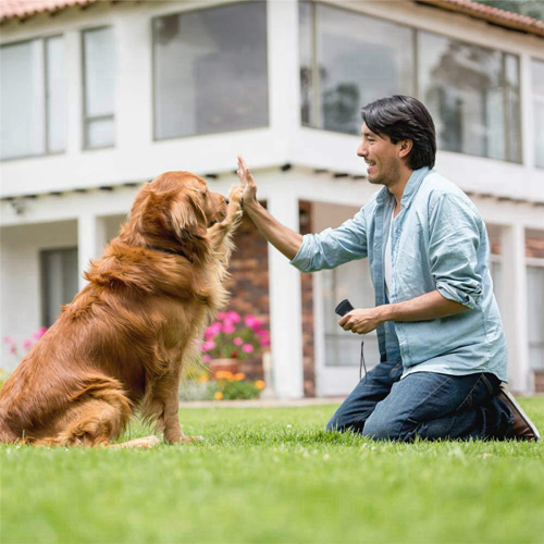 Repelente de perros de mano con luz LED Funciona con pilas 2