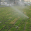 10 pezzi - Testa per irrigatore da giardino 5