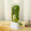 Fresh Herb Keeper for Refrigerator,For Fridge-Herb Saver for Cilantro 6