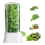 Fresh Herb Keeper for Refrigerator,For Fridge-Herb Saver for Cilantro 2