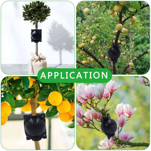 10Pcs Reusable High Pressure Ball Plant Rooting Growing Box S 1