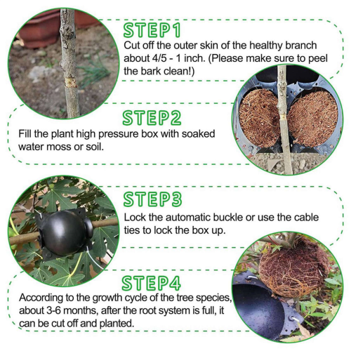 10Pcs Reusable High Pressure Ball Plant Rooting Growing Box S 2