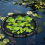 Φράγμα προστασίας φυτών Floating Island για υδάτινες λίμνες 2