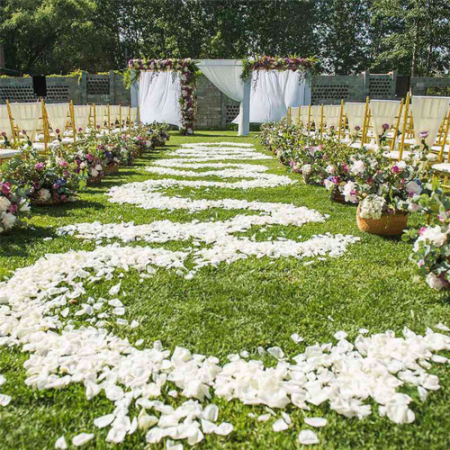 100 Pcs Artificial Flower Petal for Wedding Party Decoration, White 1