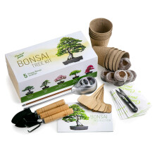 Grow Your Own Bonsai Tree Kit by Garden Pack - 5 Different Bonsai Trees to Grow - Gardening Gifts Idea w/Natural Wood Box, Gardening Accessories