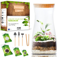 DIY Terrarium Kit for Plants - Starter Set for Garden in Bottle - Self Sustaining Ecosystem - Plant Terrarium Kit with Jar, Moss, Soil, Activated
