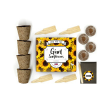 Grow Your Own Sunflower Kit Mamouth Edition - Family Box - Complete Beginner Starter Kit | Easy Instructions | Made in UK | Perfect Gardening Gift for