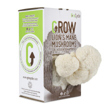 GroCycle Lion's Mane Mushroom Growing Kit | Mushroom Grow Kit | Gardening Gifts for Men, Women & Kids | Grow Your Own Kits | Fun to Grow & Delicious