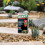 Roundup Roundup Tree Stump Weedkiller, Super Concentrate 250 ml 3