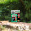 Roundup Roundup Tree Stump Weedkiller, Super Concentrate 250 ml 4