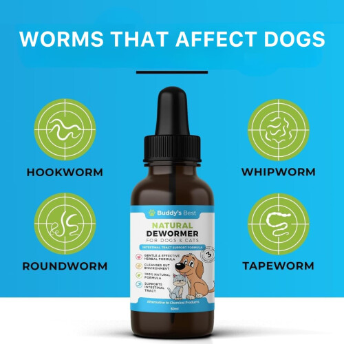 Twin Pack Natural Dewormer For Dogs & Cats | Intestinal Tract Support Formula 1