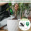 Digital plant soil meter soil test soil measuring device 3