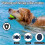AirTag Dog Collar Holder AirTag Case 3