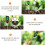 5-in-1 soil pH meter soil tester 5
