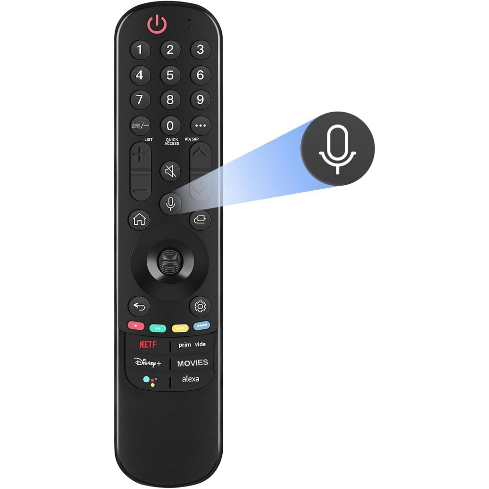 Replacing The Voice Remote Control 9379360983461