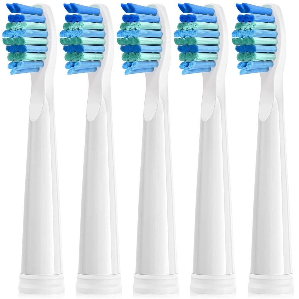Limbo 5 Replacement Brushes With Fairywill Brush Heads