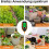Soil meter with PH/Temperature/Light soil tester 5