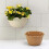 Wall Hanging Flower Pots Semicircle Flower Pots Wall Decor Brown S 4