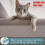 Furniture Sofa Protective Anti Cat Scratch Tape Roll 5