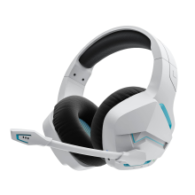 Wireless Gaming Headset with Noise Cancelling Microphone for PC PS4 PS5 Playstation 4 5, 2.4G Wireless Bluetooth USB Gamer Headphones with Mic(White)