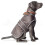 Ancol Muddy Paws Stormguard Fleece Lined Coat & Chest Protector Chocolate Xsmall 1