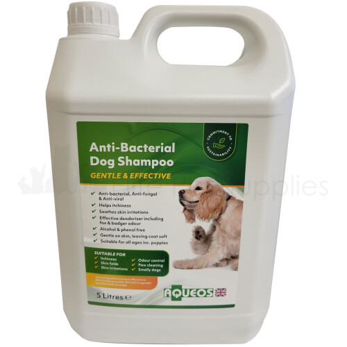 Aqueos Anti Bacterial Dog Shampoo 5L - 22998