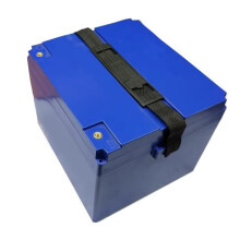 12V 24V 36V 48 v 60V Electric