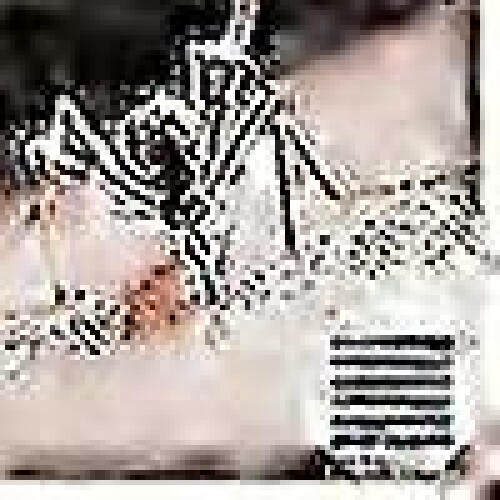 2025 300 Pcs Thermacell Heater Mats Mat Mat Bug Repellent Mats For 2