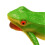 Realistic Frog with Lifelike Call Squeeze Water Spray Interactive Vivid Funny Simulation Frog Animal Model Green 2