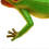 Realistic Frog with Lifelike Call Squeeze Water Spray Interactive Vivid Funny Simulation Frog Animal Model Green 4