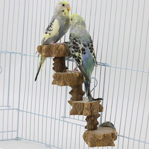 Bird Platform Perch Und for Budgie Parakeet, Ca Play D Parrot Flat Perche 2