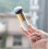 Pro Flat Foundation Face Blush Kabuki Powder Contour Makeup Brush Cosmetic Tool 2