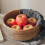 Round Fruit Basket Wicker Tabletop Bread Serving Tray Weaving Food Stora Bowls(lar 5