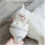 Interactive Cat Toy 1 6