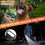 BarkGuard Bark Guard Anti Barking Device for Dogs, Upgraded with HD Display LED Flashlight 2
