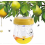Solar Powered Trap for Outdoor Hornets Wasps Fruit Flies Bees 1