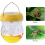 Solar Powered Trap for Outdoor Hornets Wasps Fruit Flies Bees 3