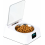 Cat Food Bowls With Automatic Open Cover Infrared Sensing Insects Prevention 1